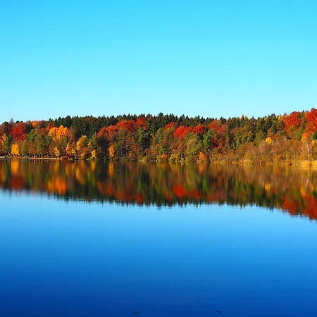 호텔 Bildungsblick 3*